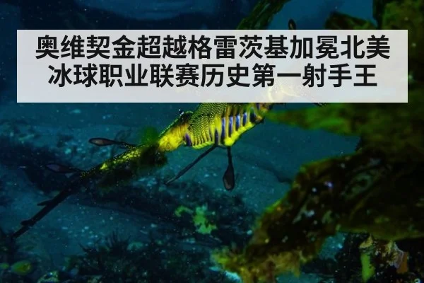 奥维契金超越格雷茨基加冕北美冰球职业联赛历史第一射手王