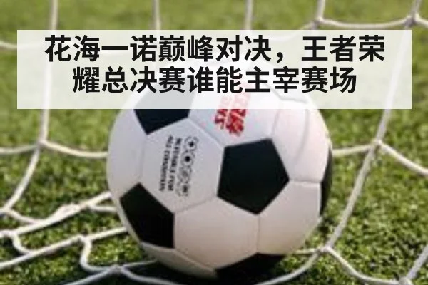 花海一诺巅峰对决，王者荣耀总决赛谁能主宰赛场